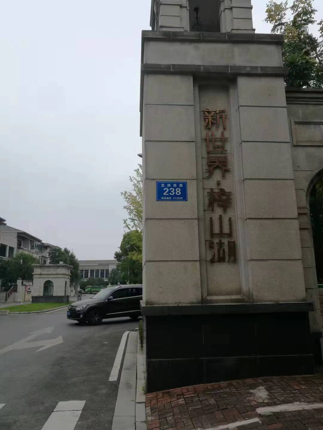 湖南省益陽市新世界·梓山湖別墅區(qū)NB-loT物聯(lián)網水表改造項目